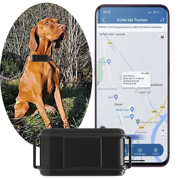 4G GPS nyomkövető vadászkutyához Animal Shake riasztás geokerítés Ingyenes APP valós idejű követés GPS Locator 3000mAh akkumulátor hangmonitor