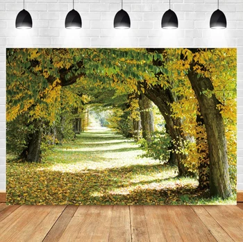 Laeacco őszi csodaország erdő lehullott levelek út szoba dekoráció háttér fényképészeti fotó háttér fotóstúdióhoz