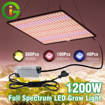 LED Grow Light teljes spektrumú fitolámpa AC85-240V 40W beltéri termesztő sátor növények növekedési fényéhez